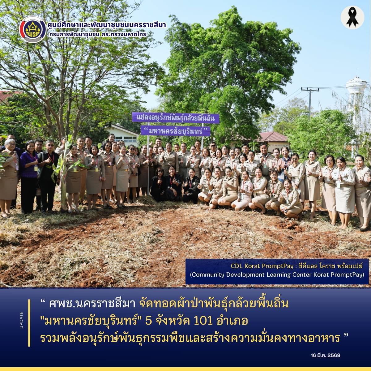 ศพช.นครราชสีมา จัดทอดผ้าป่าพันธุ์กล้วยพื้นถิ่น "มหานครชัยบุรินทร์" 5 จังหวัด 101 อำเภอ รวมพลังอนุรักษ์พันธุกรรมพืชและสร้างความมั่นคงทางอาหาร 